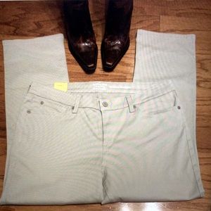 Signature by Levi Strauss Modern Straight Jeans | NWT | Sz 18S